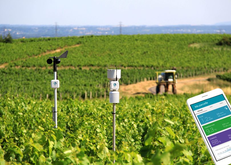 Solution connectée contre le gel de Weenat