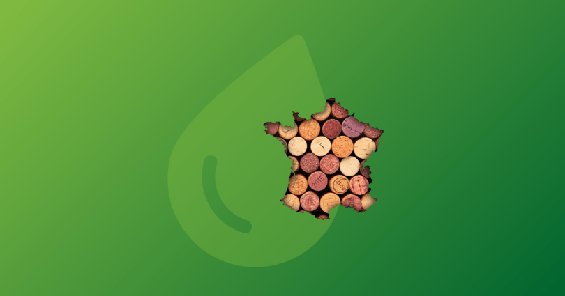 Baqio sur la route des vins&nbsp;!